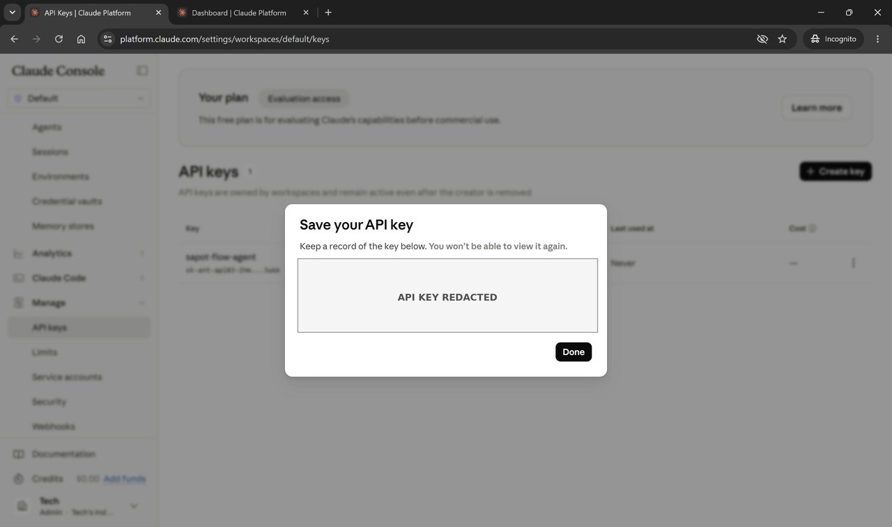 Save your API key dialog — key value redacted