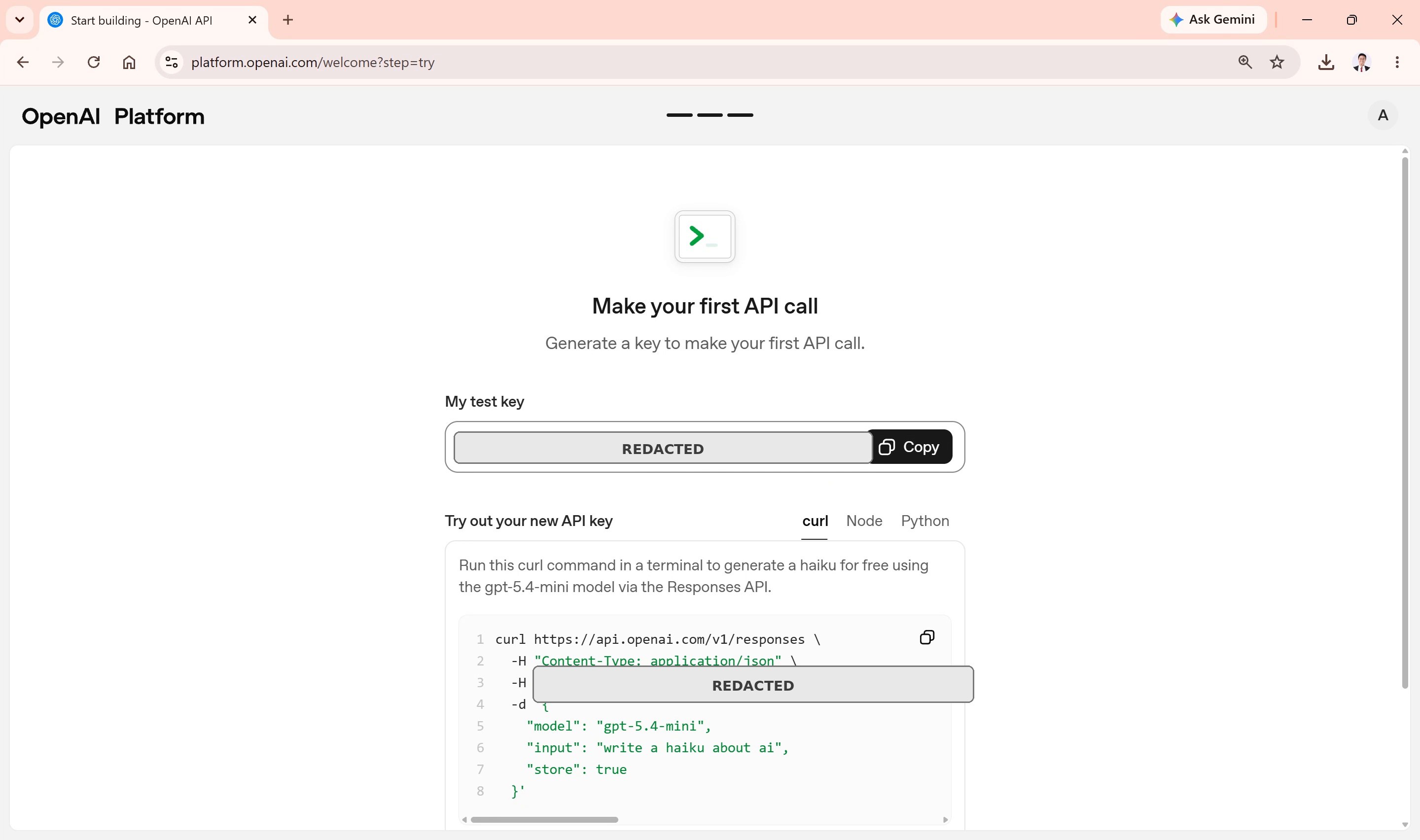 OpenAI generated API key screen