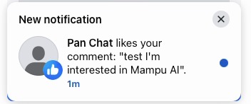 Facebook notification saying the Page liked the comment