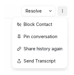 The menu at the top of an open conversation with the Share history again option